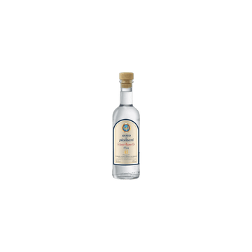 Clear glass bottle of Ouzo Plomari with beige label and wooden cap on a white background