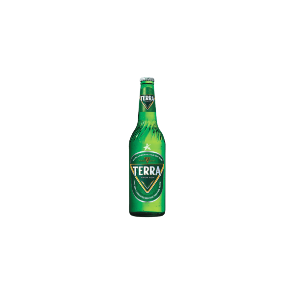 Terra Beer / alus / 4,6 % / 0,33 l
