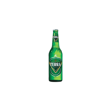 Terra Beer / alus / 4,6 % / 0,33 l